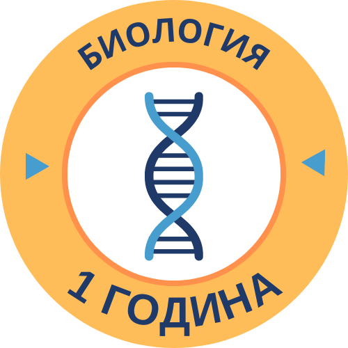 Курс по Биология 1 година